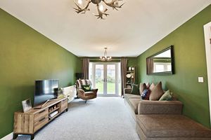 Photo 11- click for photo gallery